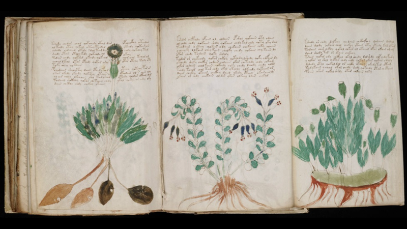 The Vonyich manuscript (Image: Beinecke Rare Book & Manuscript Library, Yale University)